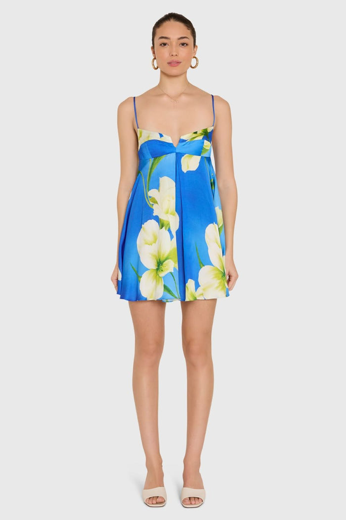 Allison Dress -Mallorca Print