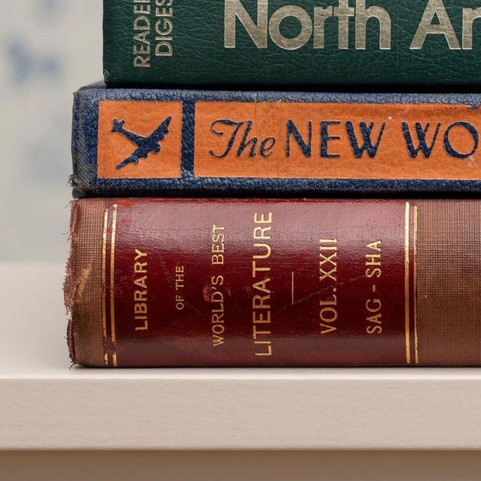 Library of the World's Best Literature Book From 1897