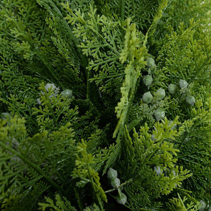 Arborvitae Shrub, 32"H - New Growth Designs
