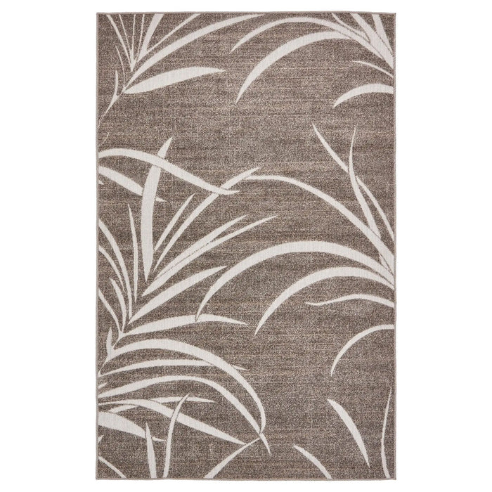 Botanical - Lacasademartha