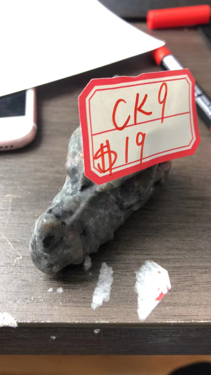 CK9-2022.3.17-CAIISE