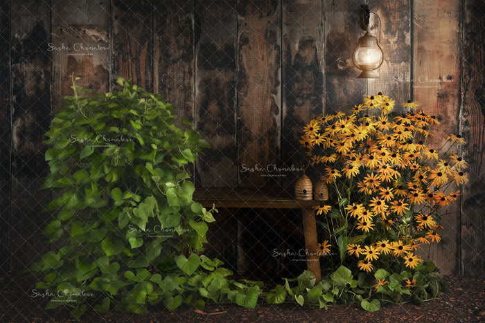 Digital Backdrop