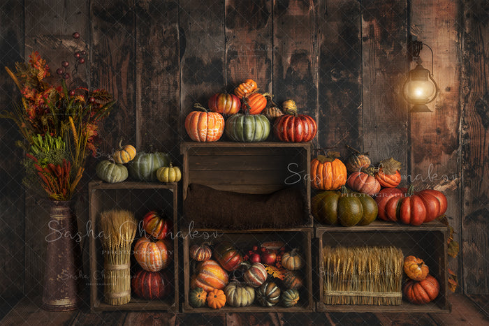Digital Backdrop