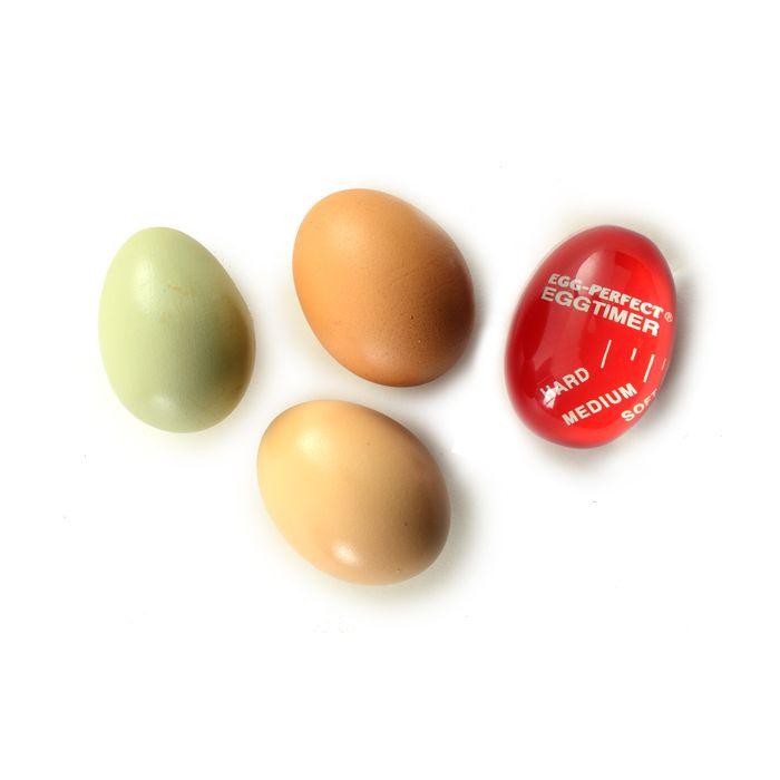 Egg Perfect Egg Timer