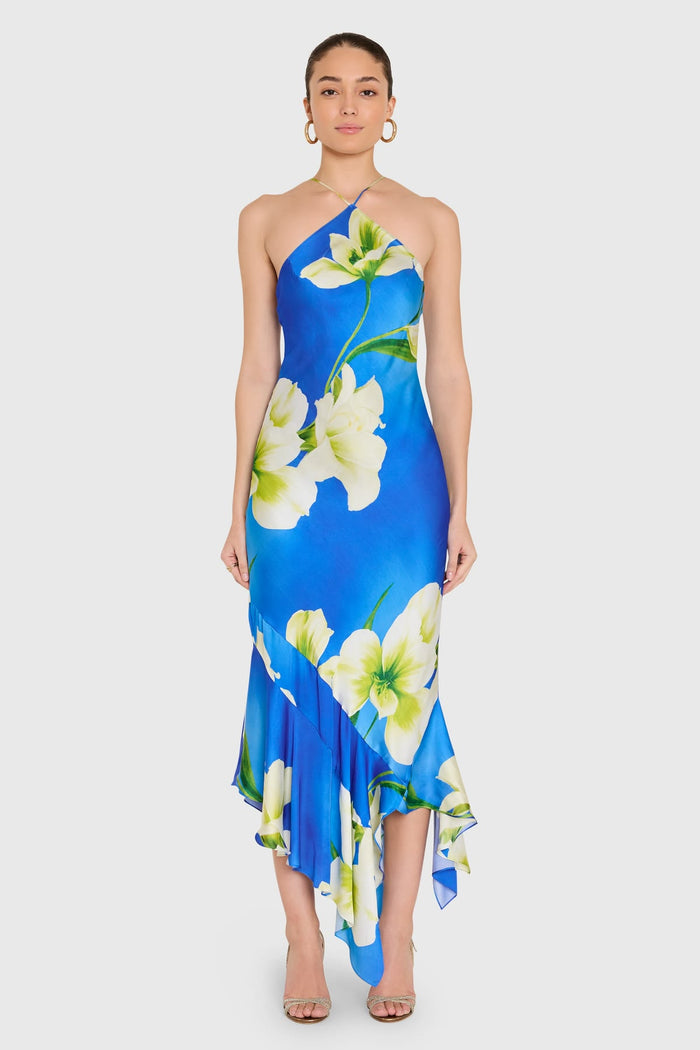 Gabriella Midi Dress -Mallorca Print