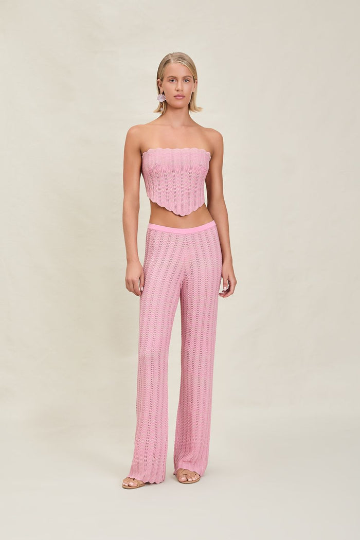 Gavi Pant