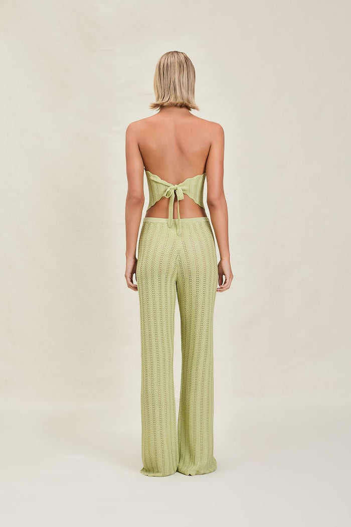 Gavi Pant