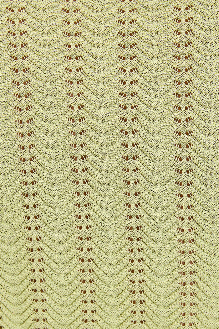 Gavi Pant