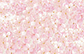 I110 Pink Hydrangea
