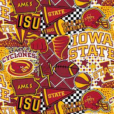 Iowa State Cyclones  ISU-1165