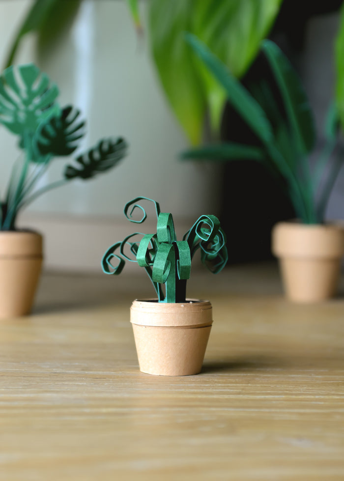 Paper Plants