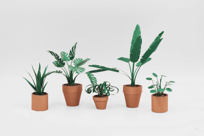 Paper Plants