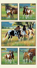 Pasture Buddies 7207-Cream by Elizabeth Studios