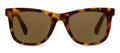 Peepers Polarized Sunglasses -Harbor Tortoise