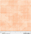 Sorbet  4985 J