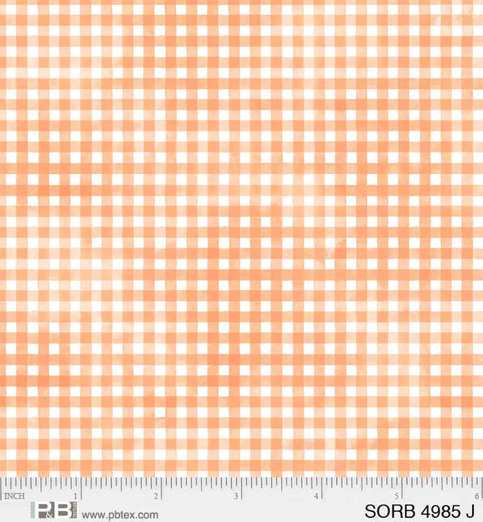 Sorbet  4985 J