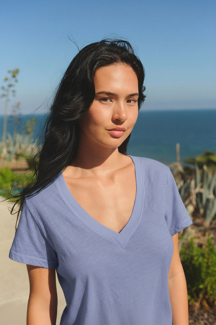 Sundry Deep V-Neck Tee in College Blue