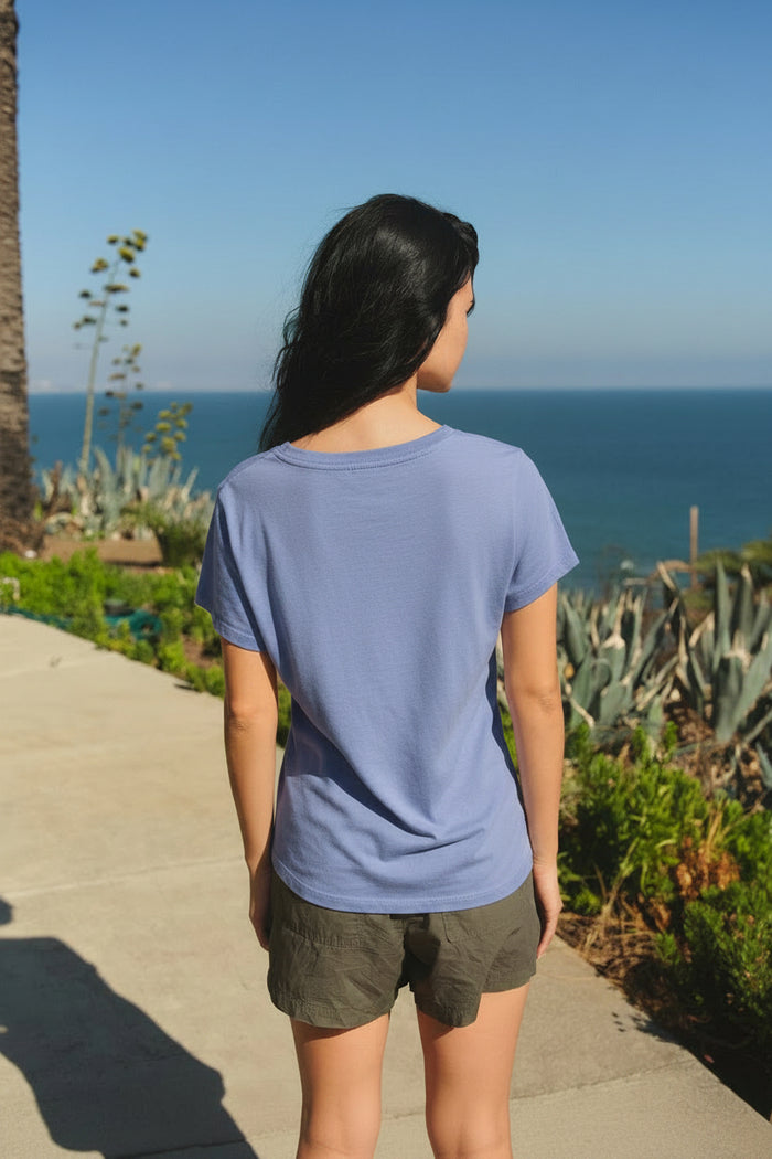 Sundry Deep V-Neck Tee in College Blue