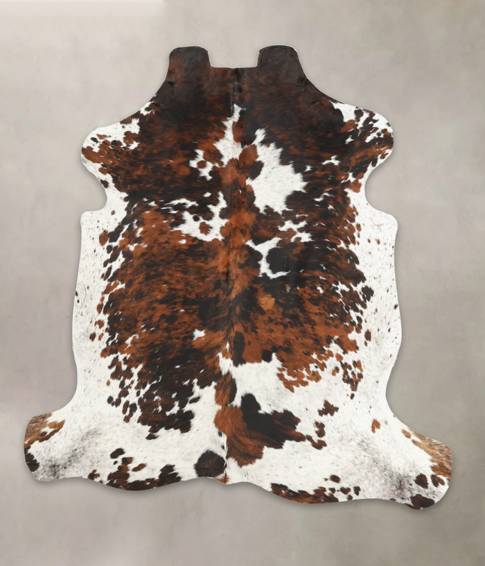 Tricolor Cowhide Rug #B6238