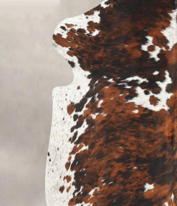 Tricolor Cowhide Rug #B6238