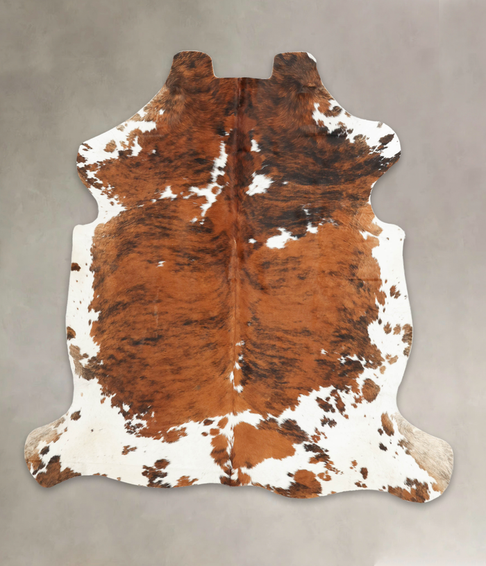 Tricolor Cowhide Rug #B6235