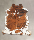 Tricolor Cowhide Rug #B6235