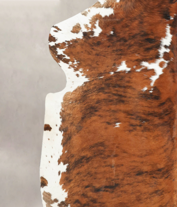 Tricolor Cowhide Rug #B6235