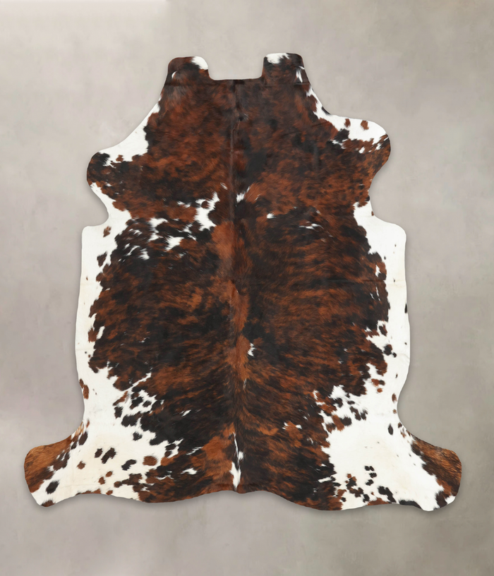 Tricolor Cowhide Rug #B6239