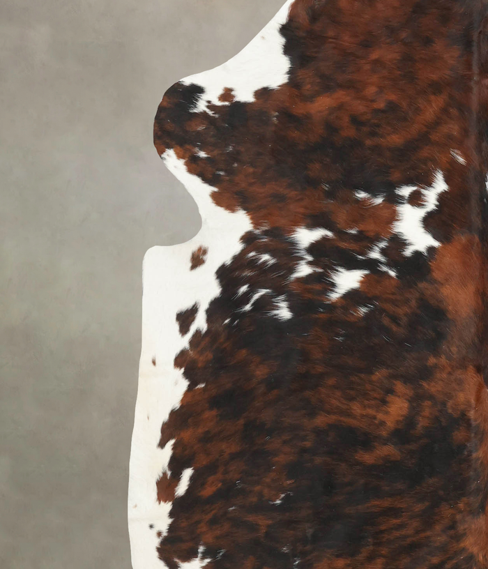 Tricolor Cowhide Rug #B6239