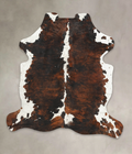 Tricolor Cowhide Rug #B6259