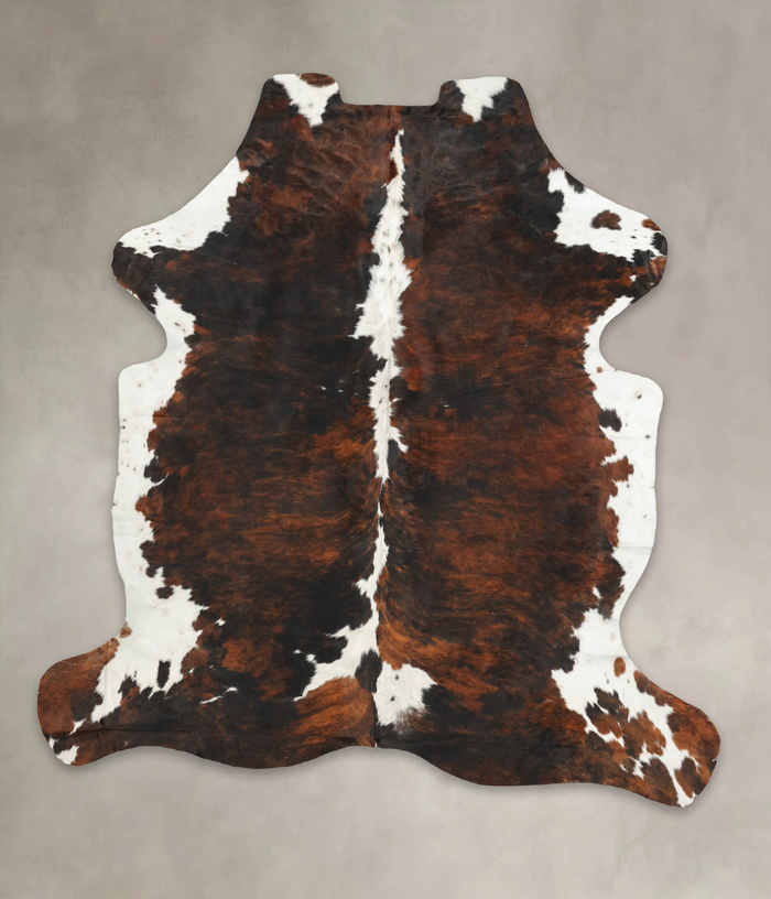 Tricolor Cowhide Rug #B6259