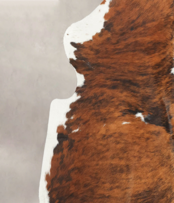 Tricolor Cowhide Rug #B6236