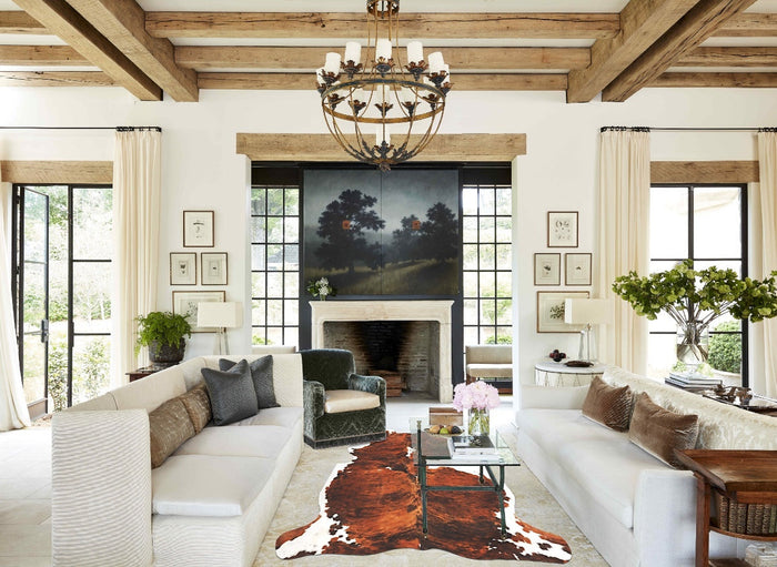 Tricolor Cowhide Rug #B6236