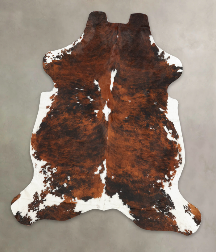 Tricolor Cowhide Rug #B6111