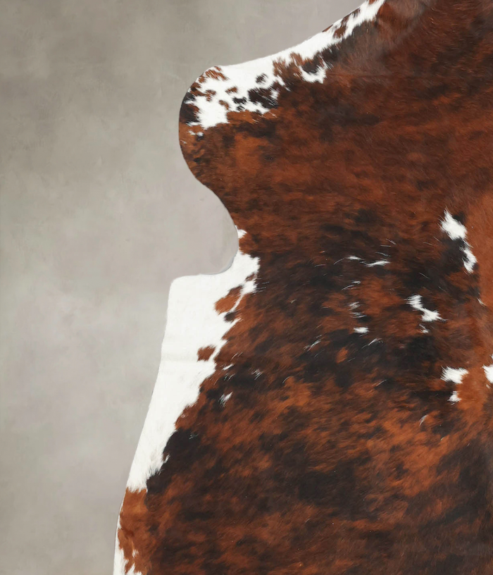 Tricolor Cowhide Rug #B6111
